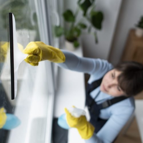 Window Cleaning